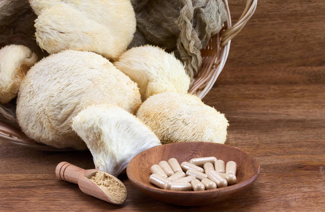 TDAH et Lion’s Mane : le champignon qui pourrait améliorer votre concentration naturellement