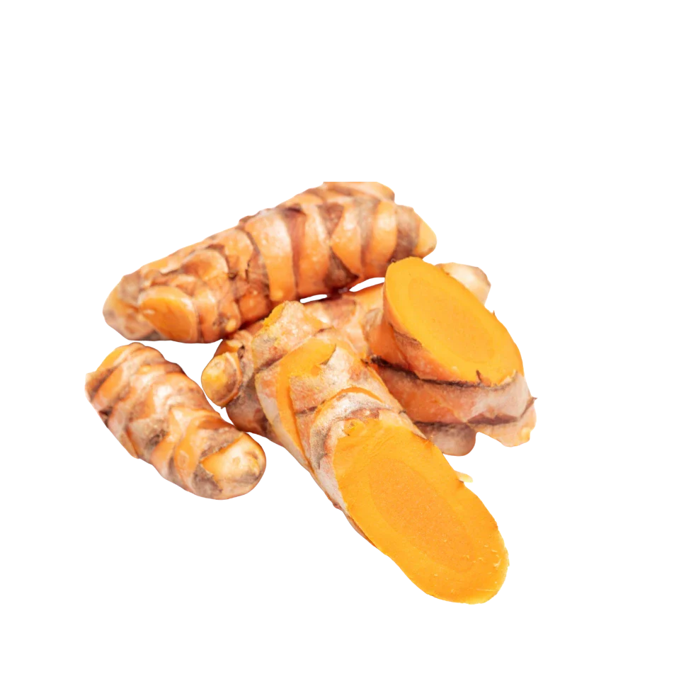 Curcuma