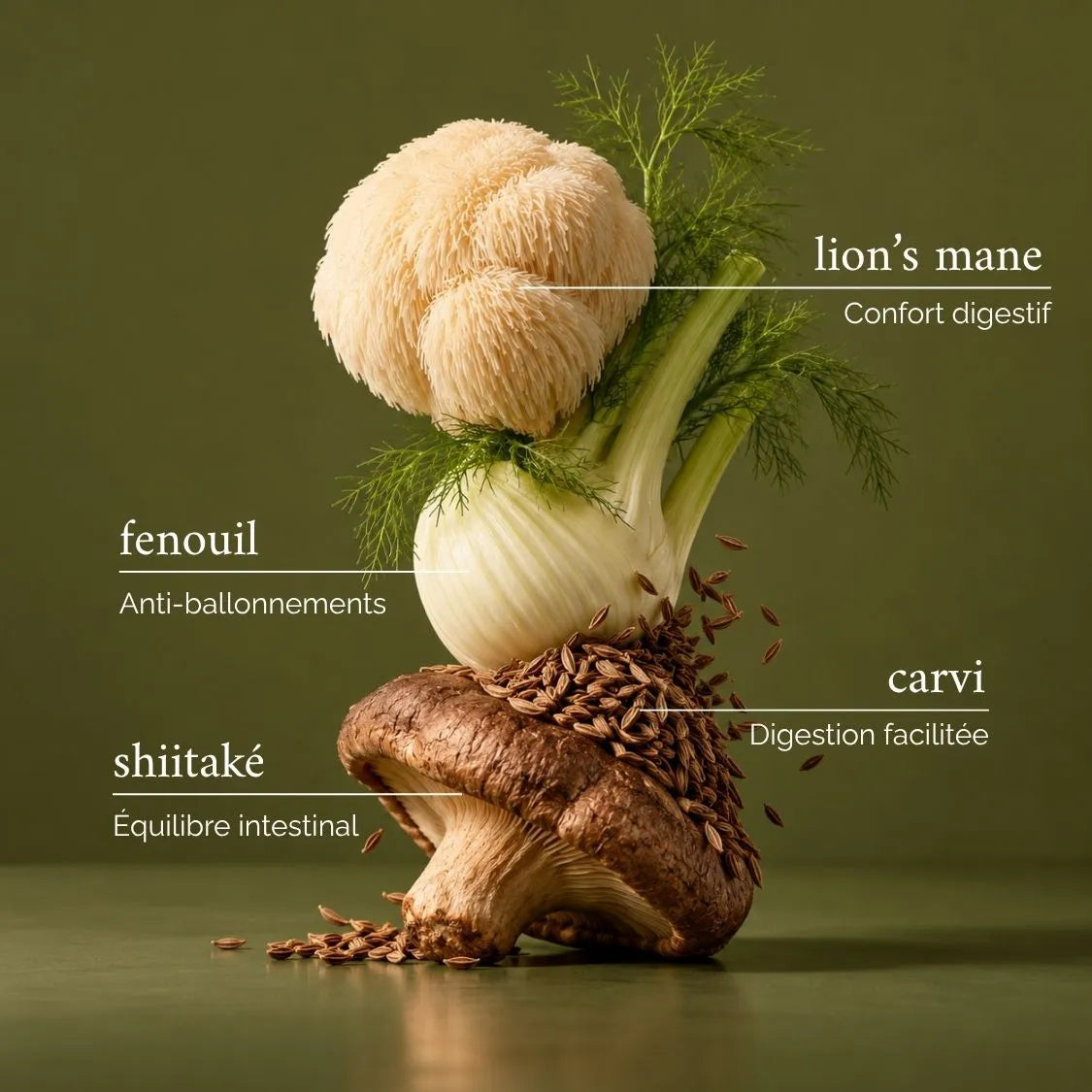 Pochette Digestion