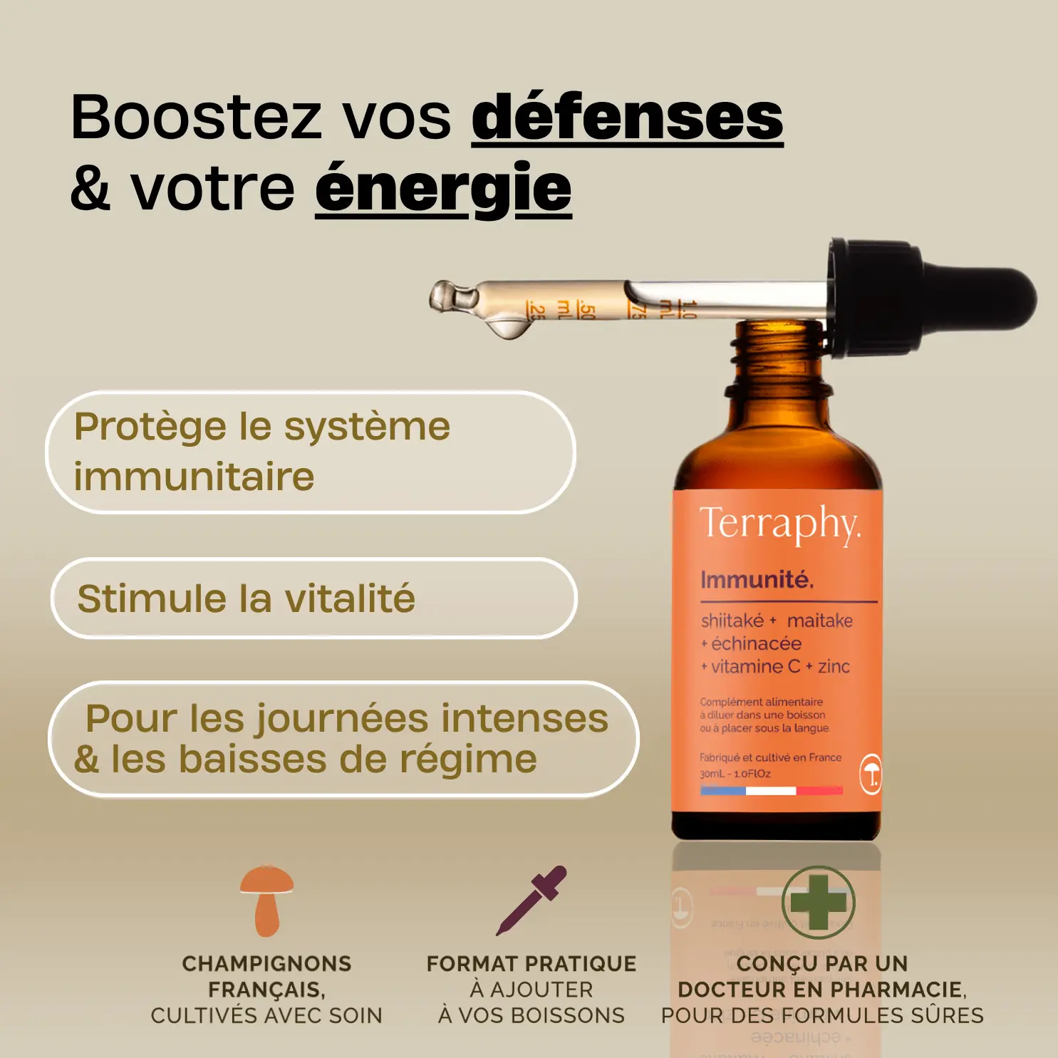 pack champignons shiitaké, reishi, maitaké