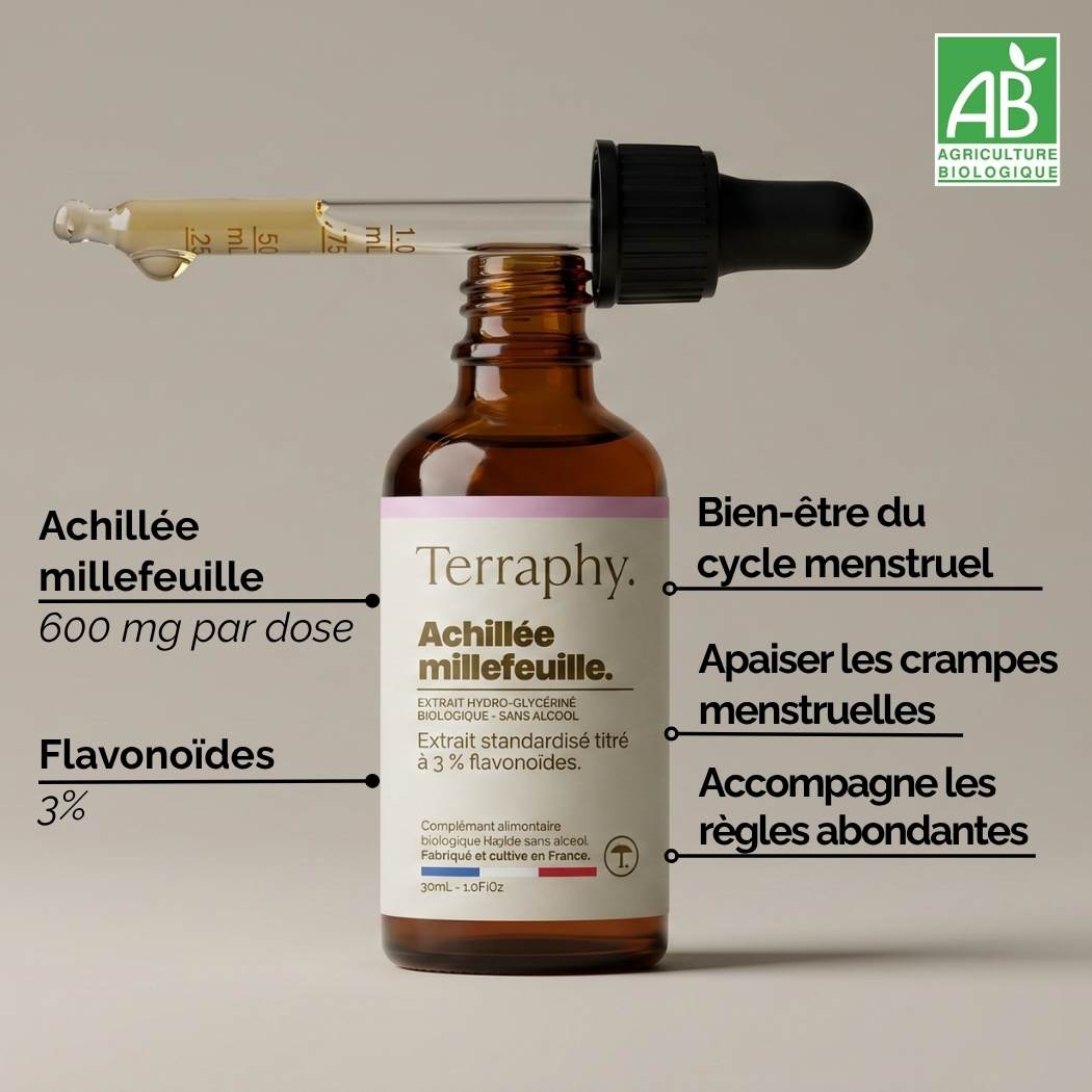 Achillée millefeuille.