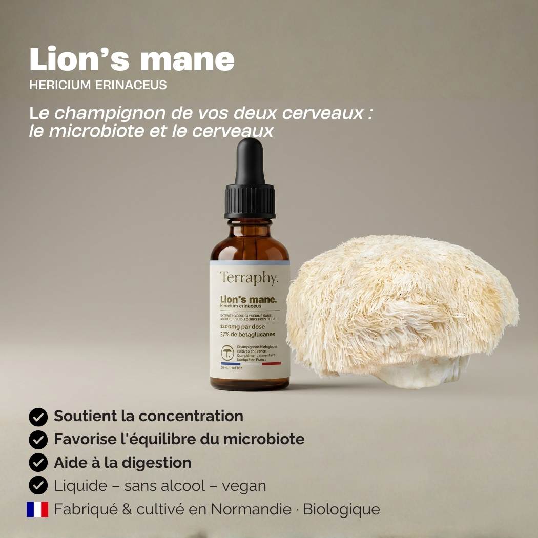 Lion’s mane.