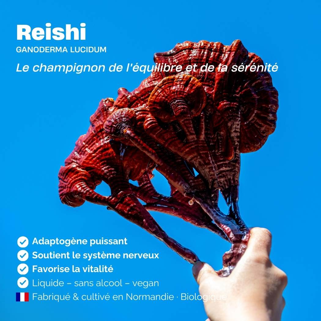 Reishi.