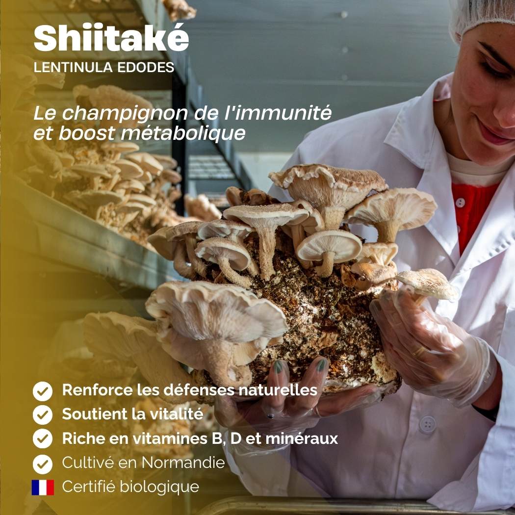 Shiitaké.
